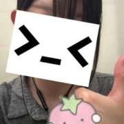 ヒメ日記 2025/07/23 08:15 投稿 こゆき アラカルト