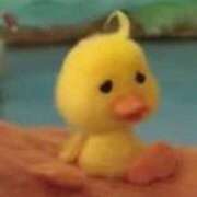 ヒメ日記 2025/08/01 17:35 投稿 こゆき アラカルト