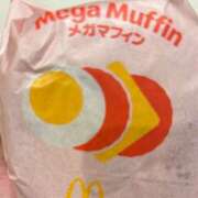 ヒメ日記 2025/08/26 12:16 投稿 こゆき アラカルト