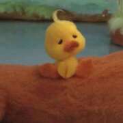 ヒメ日記 2025/09/05 14:55 投稿 こゆき アラカルト