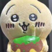 ヒメ日記 2025/09/08 16:00 投稿 こゆき アラカルト