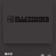 ヒメ日記 2025/10/17 02:54 投稿 こゆき アラカルト