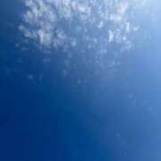 ヒメ日記 2025/11/27 10:14 投稿 こゆき アラカルト