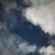 ヒメ日記 2025/12/20 13:44 投稿 こゆき アラカルト