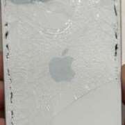 ヒメ日記 2026/03/18 19:39 投稿 こゆき アラカルト