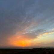 ヒメ日記 2026/04/16 08:31 投稿 こゆき アラカルト