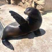 ヒメ日記 2026/04/16 20:24 投稿 こゆき アラカルト