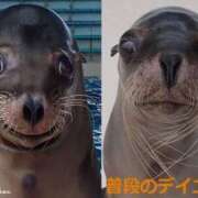 こゆき 水分とって〜 アラカルト