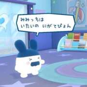 こゆき 明日 ごめんなさい🙏 アラカルト