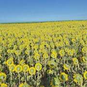 ヒメ日記 2025/09/02 20:36 投稿 東条 いちか エレガンス(福島)