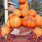 東条 いちか よろしくね！ エレガンス(福島)