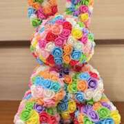 ヒメ日記 2026/01/27 19:52 投稿 東条 いちか エレガンス(福島)