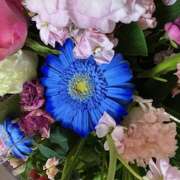 ヒメ日記 2026/01/29 07:15 投稿 東条 いちか エレガンス(福島)