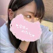 ヒメ日記 2025/07/21 19:47 投稿 めぐむ みつらん鉄道