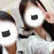 ヒメ日記 2025/07/24 17:14 投稿 めぐむ みつらん鉄道