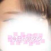 ヒメ日記 2025/07/27 13:24 投稿 めぐむ みつらん鉄道