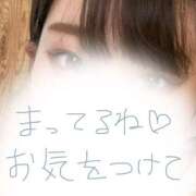 ヒメ日記 2025/08/13 07:14 投稿 めぐむ みつらん鉄道