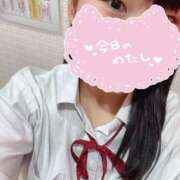 ヒメ日記 2025/08/14 09:54 投稿 めぐむ みつらん鉄道