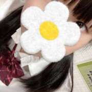 ヒメ日記 2025/08/26 10:15 投稿 めぐむ みつらん鉄道