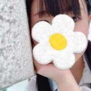 ヒメ日記 2025/08/28 13:34 投稿 めぐむ みつらん鉄道