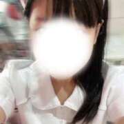 ヒメ日記 2025/10/29 12:32 投稿 めぐむ みつらん鉄道