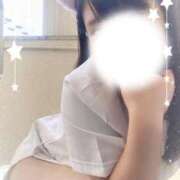 ヒメ日記 2025/10/29 14:34 投稿 めぐむ みつらん鉄道