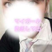 ヒメ日記 2025/11/04 11:34 投稿 めぐむ みつらん鉄道