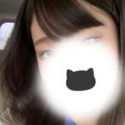 ヒメ日記 2025/11/09 19:44 投稿 めぐむ みつらん鉄道