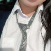 ヒメ日記 2025/11/11 10:44 投稿 めぐむ みつらん鉄道