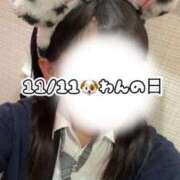 ヒメ日記 2025/11/11 12:00 投稿 めぐむ みつらん鉄道