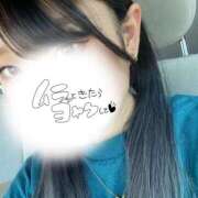 ヒメ日記 2025/11/15 07:46 投稿 めぐむ みつらん鉄道