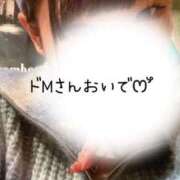 ヒメ日記 2025/11/15 10:24 投稿 めぐむ みつらん鉄道