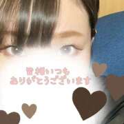 ヒメ日記 2025/11/16 14:24 投稿 めぐむ みつらん鉄道