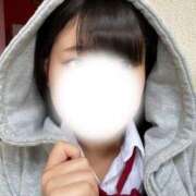 ヒメ日記 2025/11/18 15:17 投稿 めぐむ みつらん鉄道