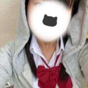 ヒメ日記 2025/11/18 15:37 投稿 めぐむ みつらん鉄道