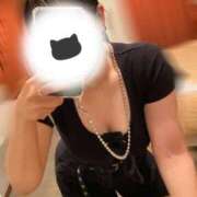 ヒメ日記 2025/11/19 20:24 投稿 めぐむ みつらん鉄道