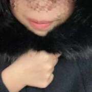 ヒメ日記 2025/11/29 10:04 投稿 めぐむ みつらん鉄道