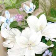 ヒメ日記 2025/11/29 20:21 投稿 めぐむ みつらん鉄道