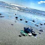 ヒメ日記 2025/12/01 21:53 投稿 めぐむ みつらん鉄道