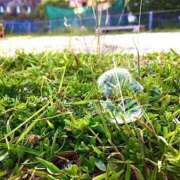 ヒメ日記 2025/12/04 05:54 投稿 めぐむ みつらん鉄道