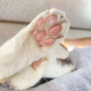 ヒメ日記 2025/12/07 20:52 投稿 めぐむ みつらん鉄道