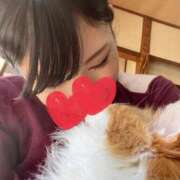 ヒメ日記 2025/12/07 21:34 投稿 めぐむ みつらん鉄道