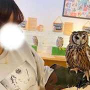 ヒメ日記 2025/12/08 06:16 投稿 めぐむ みつらん鉄道