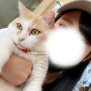 ヒメ日記 2025/12/12 14:34 投稿 めぐむ みつらん鉄道