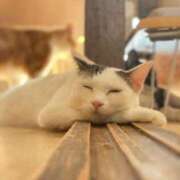 ヒメ日記 2025/12/14 21:58 投稿 めぐむ みつらん鉄道