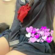 ヒメ日記 2025/12/17 13:54 投稿 めぐむ みつらん鉄道