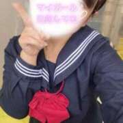 ヒメ日記 2025/12/17 15:09 投稿 めぐむ みつらん鉄道