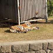 ヒメ日記 2025/12/19 12:48 投稿 めぐむ みつらん鉄道