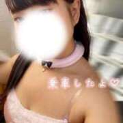 ヒメ日記 2025/12/23 10:30 投稿 めぐむ みつらん鉄道