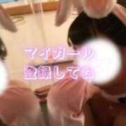 ヒメ日記 2025/12/23 16:07 投稿 めぐむ みつらん鉄道